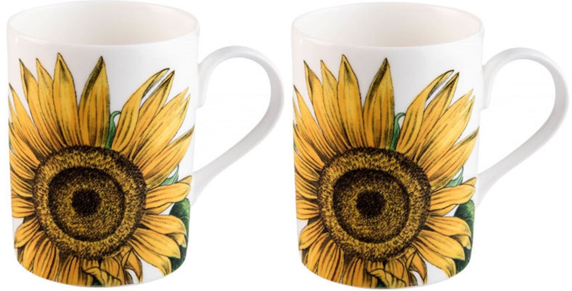 Roy Kirkham Lucy Mugs - Botanica Set of 2, Color: Yellow
