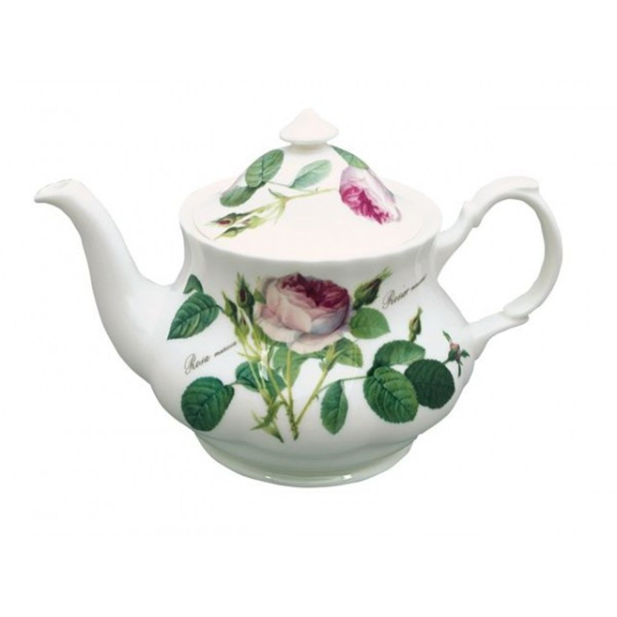 Roy Kirkham Teapot - Redoute Rose, Bone China Ceramic Made in England